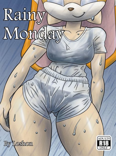 hentai20.top - Rainy Monday – Sonic XXX