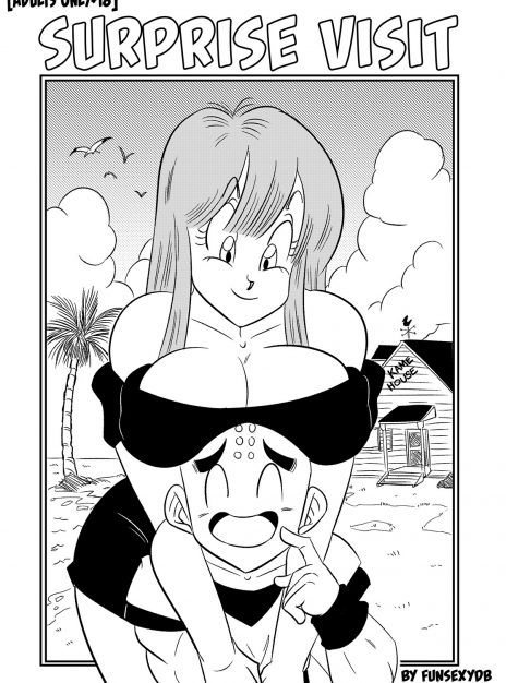 hentai20.top - Surprise Visit – FunsexyDB