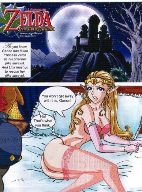 hentai20.top - Zelda – The Wild Fucker