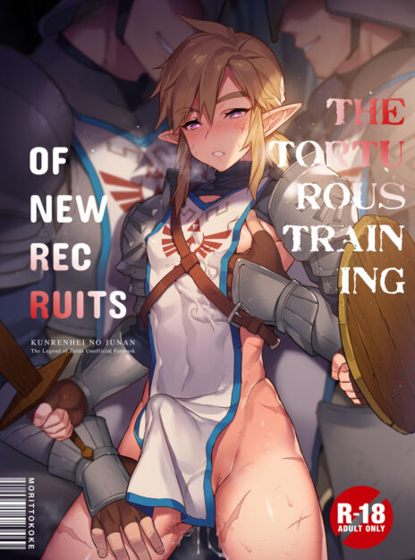 hentai20.top - The Torturous Training of New Recruits – The Legend of Zelda Gay